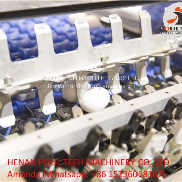 Automatic Chicken Eggs Washing Machine & Egg Grading Machine