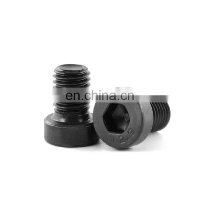 M8 M10 Grade8.8 Black Zinc Galvanized Steel Hex Socket Low Cap Head Screw DIN7984 photo-2
