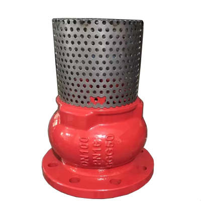 Own Brand Cast Iron Body Foot Valve ANSI SS304 Mesh Foot Valve JIS 10K GGG50 Foot Valve for Water