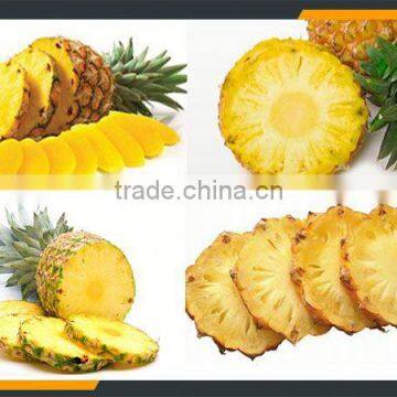 Fruit Peeling Machine photo-5