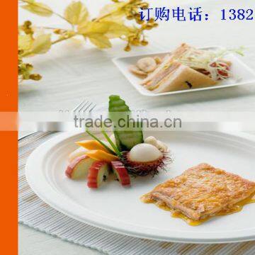 Biodegradable Sugarcane Plates photo-5