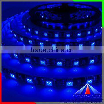 DC12v flex led strip 5050 IP68 waterproof 5m/roll 300led warm white/ cold white /RGB LED Light Strip