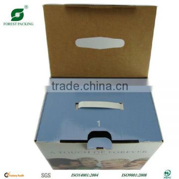 Paper carton with plastic handle