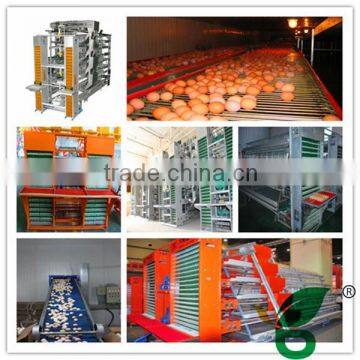 chicken farming equipment automatic poultry egg collection system