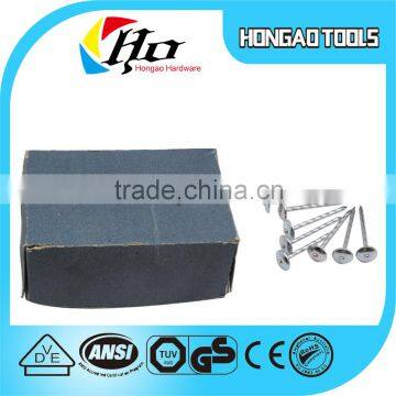 umbrella head roofing nails from manufacture in china/roofing nail