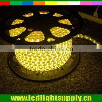 220V or 110V led light rope 12v 5050 SMD warm white