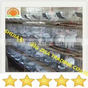 24 Rabbits Automatic Rabbit Breeding Cage Equipment in Kenya photo-5