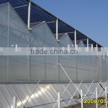 Polycarbonate PC Sheet Multi-span Greenhouse