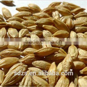 price of barley malt of Australia can be provide according to the quantity