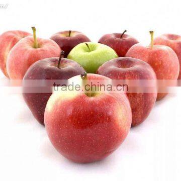 Manufacturer Or Plant/used As Food Additives/dl-malic Acid 6915-15-7 photo-2