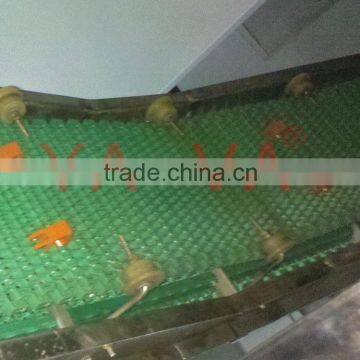 Food Conveyor for Slaughtering Industry/modular Belt Conveyor Line photo-6