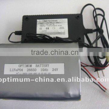 LiFePO4 Battery/Rechargeable Battery/UPS Battery/E-Scooter Battery 24V 10AH