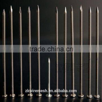 low price common nails / common wire nail (china manufacturer)