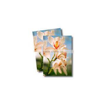 Inkjet Canvas Digital Printing 240gsm photo-2