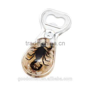 Promotional insect shape metal bottle opener