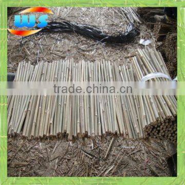 Short bamboo poles 35CM 10/12MM