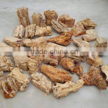 Colombian Amber (Copal) - Raw
