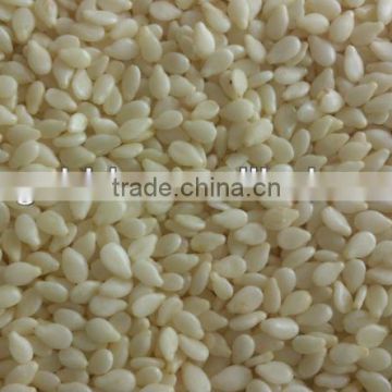 Hulled sesame seeds, white sesame seeds, white hulled sesame seeds , washed sesame seeds