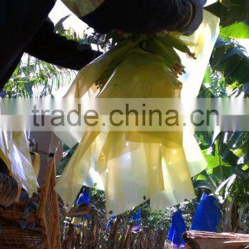 Banana Fruit Protection Shield