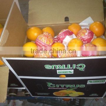 High Quality Fresh Sweet Navel Oranges