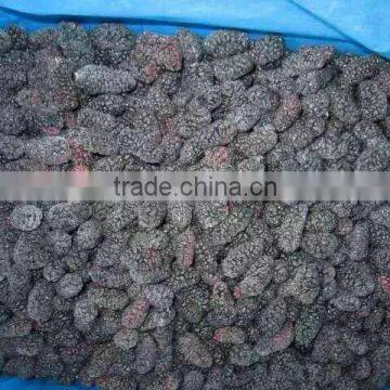 Top Quality Frozen Mulberry From Factory photo-5