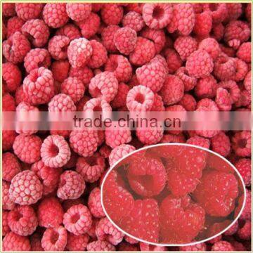 Whole and Crumbles Frozen Raspberries