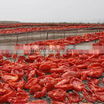 Red Sweet Dried Tomatoes For Wholesale Price Red Tomato photo-4