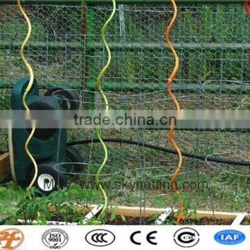 graden tomato growing spiral stakes ISO,SGS factory