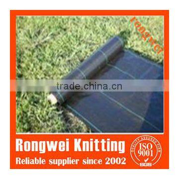 Black and Green Ground Cover photo-5