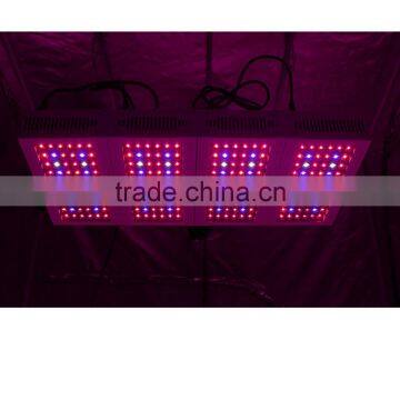 Shenzhen Two Switches With 5 W Cob Chip X300 Led Grow Light