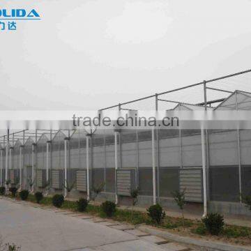 Zigzag Polycarbonate PC Sheet Greenhouse for Fishing and Vegetables