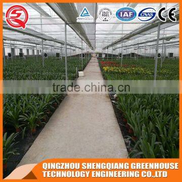 Factory Direct Heating to Sell High Quality Venlo Glass Greenhouse photo-4