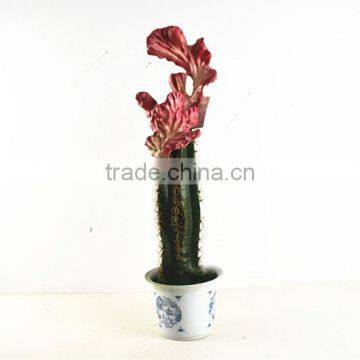 SJ3001102 Artificial Big Grafted Cactus for Landscaping Decoration photo-3