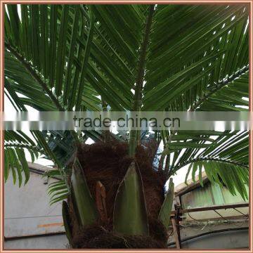 Fiberglass Custom Coconut Palm Tree Make for Export Sale photo-2