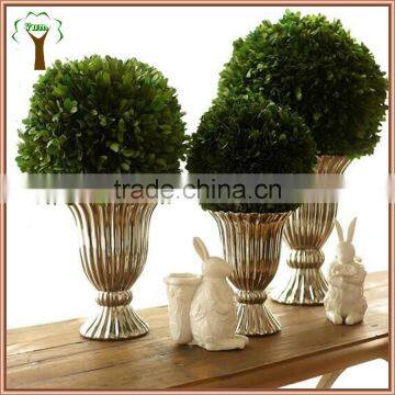 Fresh Boxwood Preserved With White Pot for Christmas Decoration photo-2