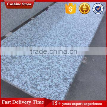 Popular Bala White G439 Grey Granite Countertop photo-2