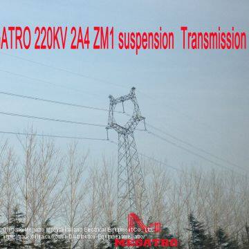 MEGATRO 220KV 2A4 ZM1 Suspension Transmission Tower photo-2