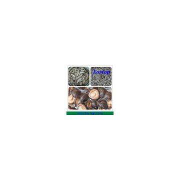 Canned Shiitake Mushroom