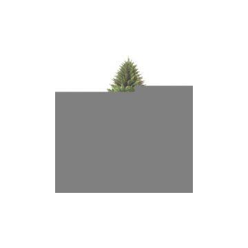 Sell 210cm Christmas Tree