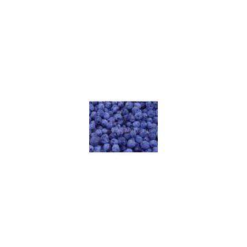 IQF Wild Blueberry