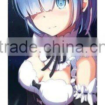 Zero kara Hajimeru Isekai Seikatsu Anime Wallscrolls 40*102cm