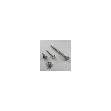 Self Tapping Screws
