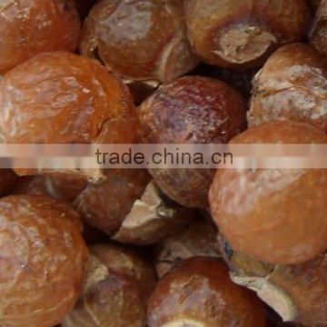 Organic Quality Soapnut Shell At Your Door