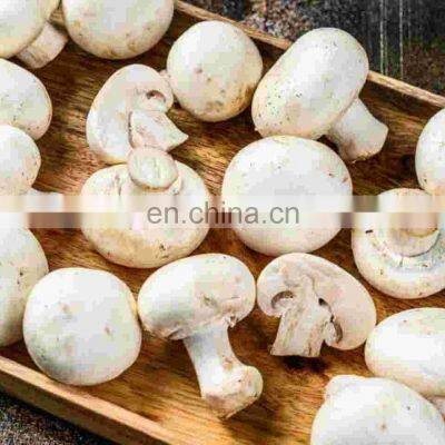 Good Price Mushrooms Pickled From Vietnam photo-4