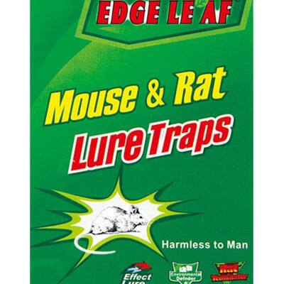 Strong Adhesive Pest Control 65g Edge Leaf Jh17 Pest Control Rat Sticky Board Mouse Glue Trap