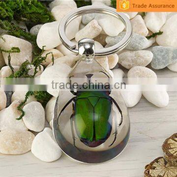 Promotional Gifts Real Bug Flower Sea Horse Scorpion Wholesale Crystal Diy Key Chain photo-3