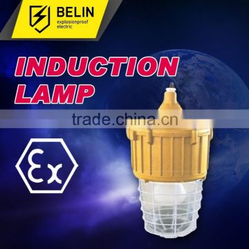 Explosion-proof High Frequency Electrodeless Lamp