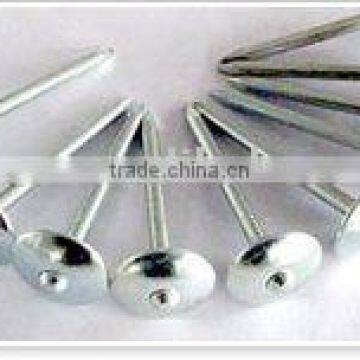 high quality and low price twisted shank roofing nail with umbrella head China factory