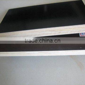 17mm black film concrete film faced plywood manufacturer