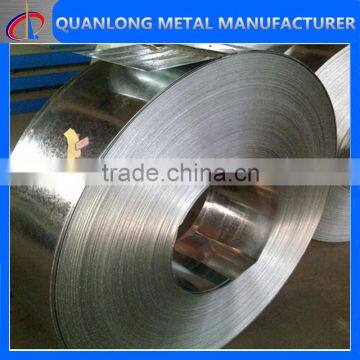 Wholesale Price Hot Dip Galvanized Steel Strip